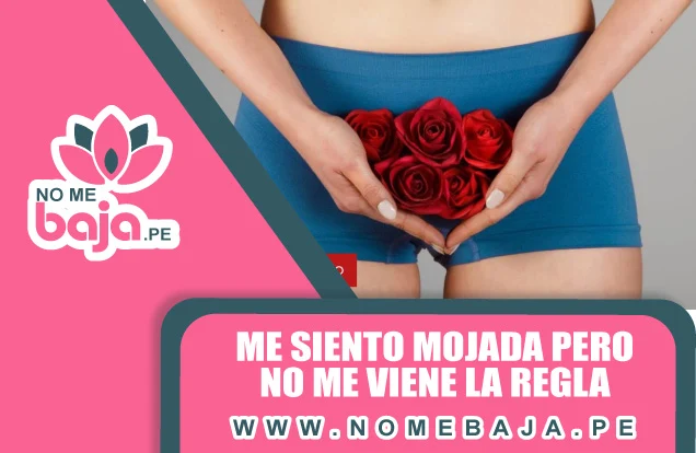 Se observa la silueta de una mujer y un titulo que dice : Me siento mojada pero no me viene la regla nomebaja.pe