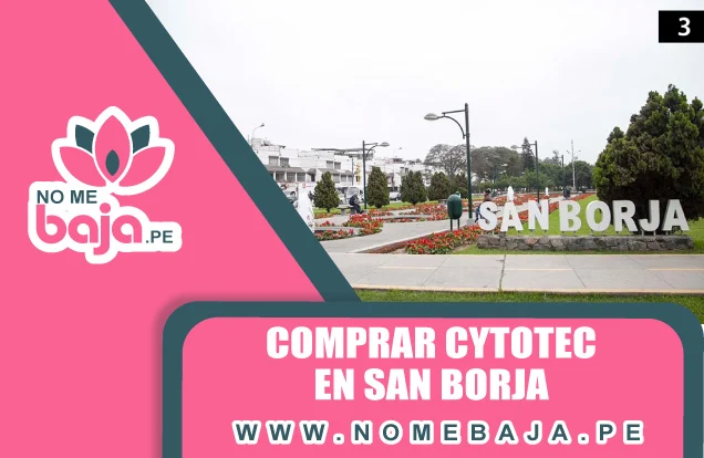 Se mira en la imagen las letras de ingreso al distrito de San Borja, tambien al lado un titulo que dice : Compra cytotec en san borja