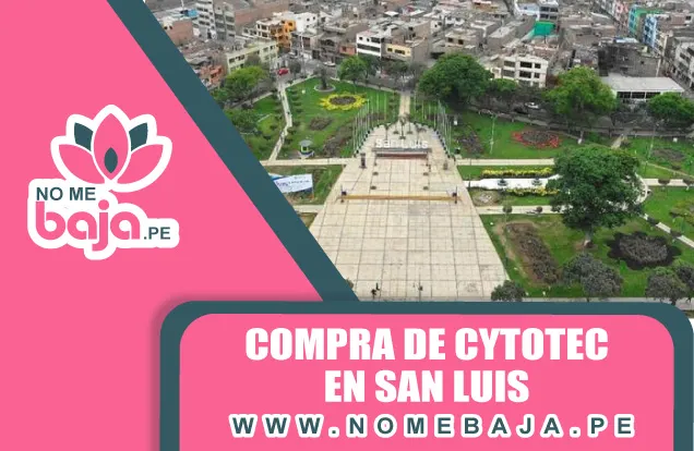 Se observa una parque en el Distrito de San Luis